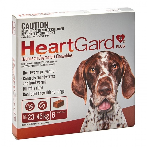 Heartgard Brown Plus Chews x 6 
