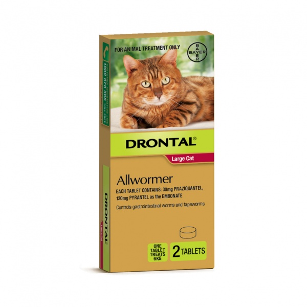 Drontal Cat Allwormer Large 6kg Tabs 2PK