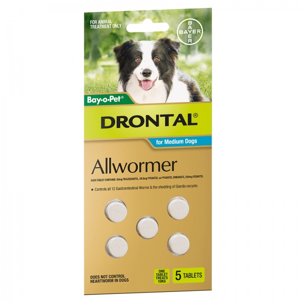 Drontal Dog Allwormer chews 10kg Tabs 5PK