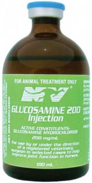 GLUCOSAMINE 200 INJ 100ML