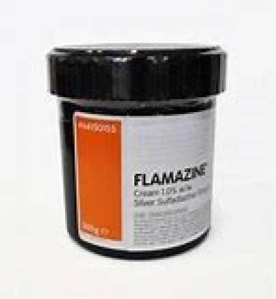 Flamazine 500g Tub