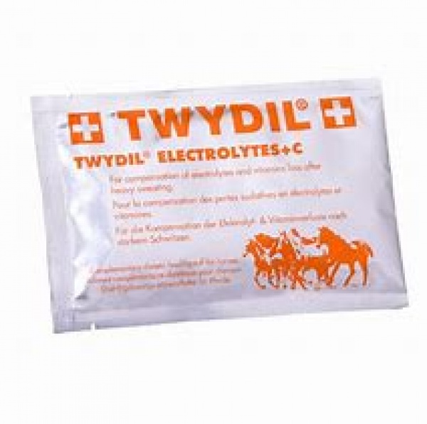 Twydil Electrolytes + C Sachet