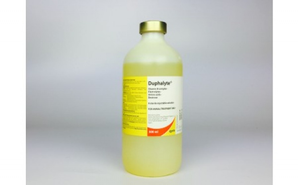 Duphalyte 500ml IV infusion 