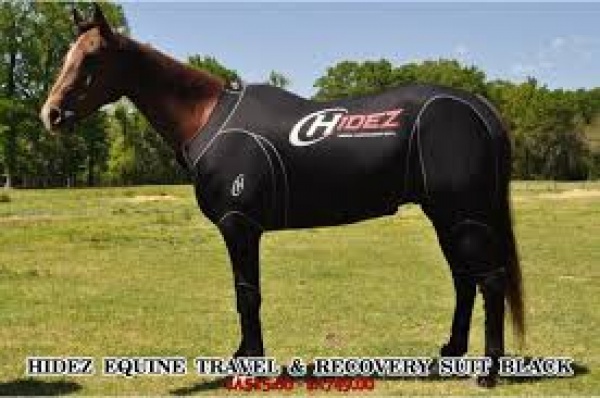 Hidez Compression Suit ( sizes 17H and 17:2 H only )