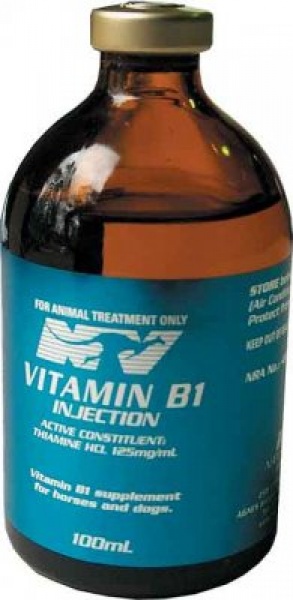 VITAMIN B1 100ML N/V
