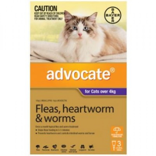 ADVOCATE CAT >4KG LGE 3s