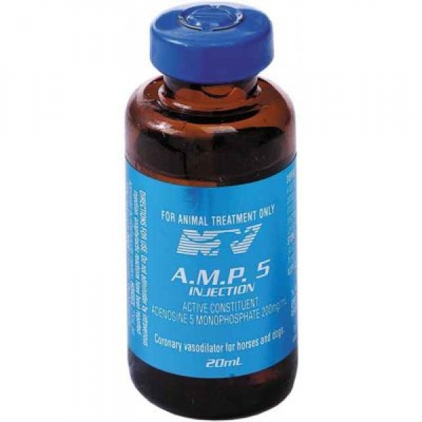 AMP5 Inj 20ml