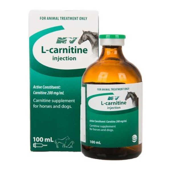 L CARNITINE 100ML INJ N/V
