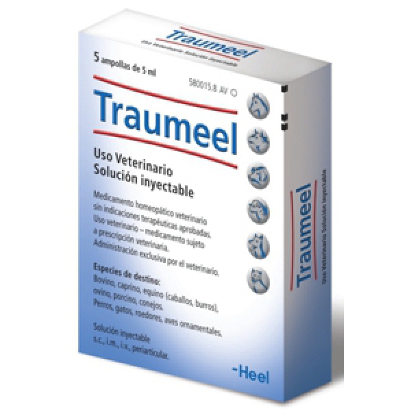 Traumeel box of 5 x 5ml vials