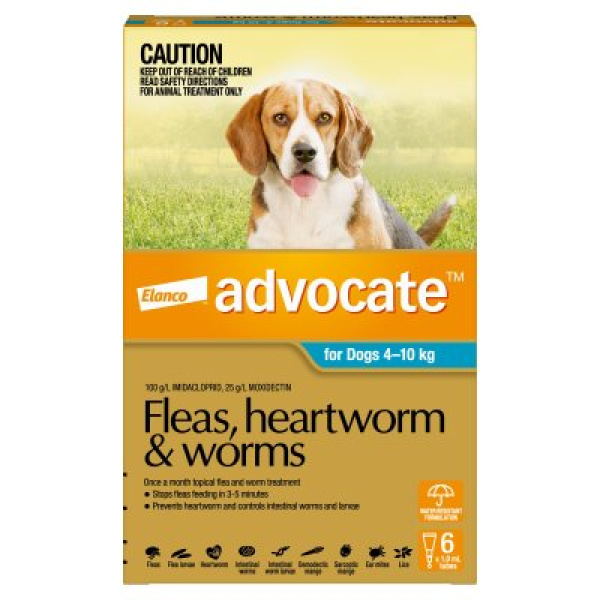 ADVOCATE DOG 4-10KG MED 6s AQUA