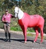 Hidez Compression Suit ( sizes 17H and 17:2 H only ) thumbnail